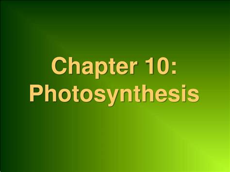 Ppt Chapter 10 Photosynthesis Powerpoint Presentation Free Download
