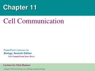 Ppt Chapter 11 Powerpoint Presentation Free Download Id 5852920