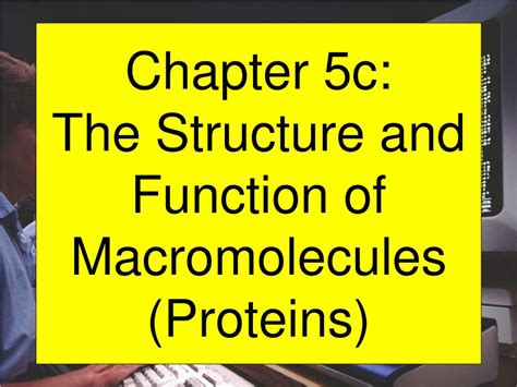Ppt Chapter 5C The Structure And Function Of Macromolecules