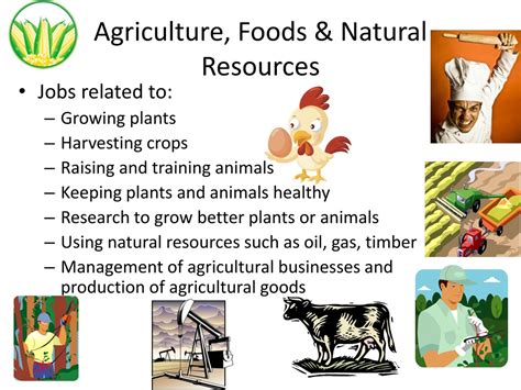 Ppt Diverse Careers In Agriculture Foods Amp Natural Resources