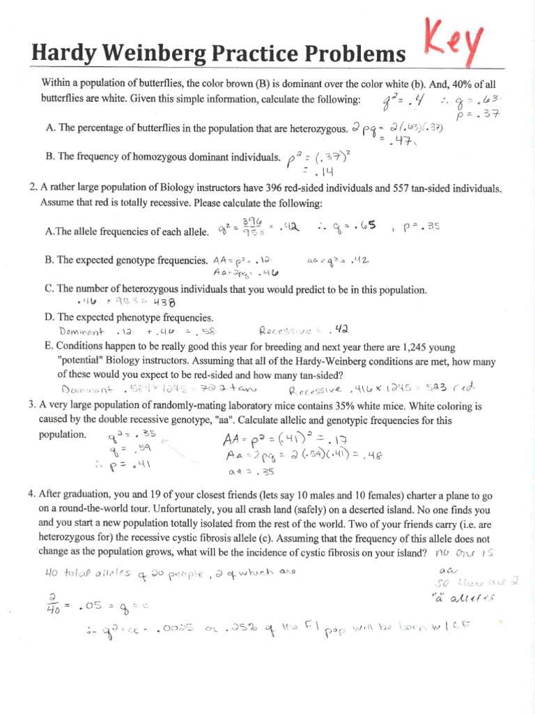 Ppt Evolution Of Hardy Weinberg Equation And Its Applications