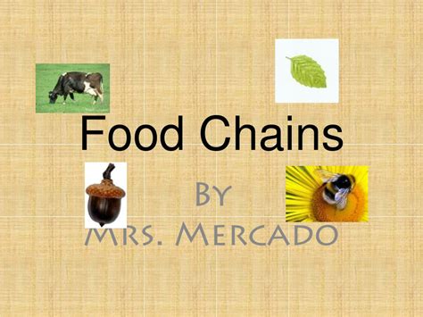 Ppt Food Chains Powerpoint Presentation Free Download Id 9522090 Ppt Food Chains Powerpoint Presentation Free Download Id 9522090