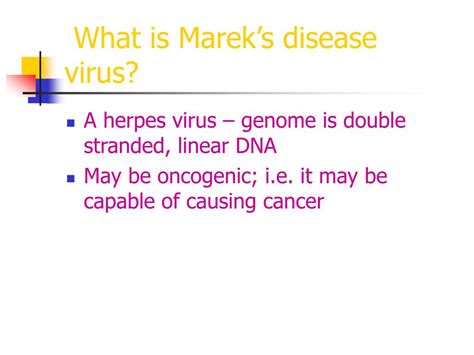 Ppt Marek S Disease Virus Powerpoint Presentation Free Download Id