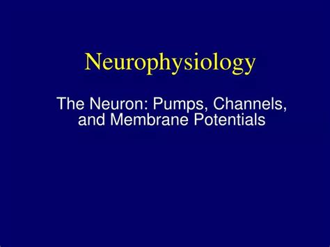Ppt Neurophysiology Powerpoint Presentation Id 721948