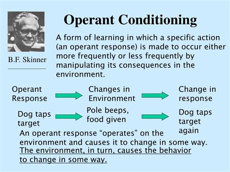 Ppt Operant Conditioning Powerpoint Presentation Free Download Id