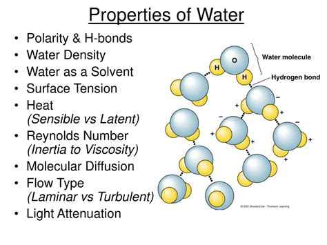 Ppt Properties Of Water Powerpoint Presentation Free Download Id