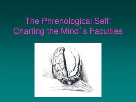 Ppt The Phrenological Self Charting The Mind S Faculties