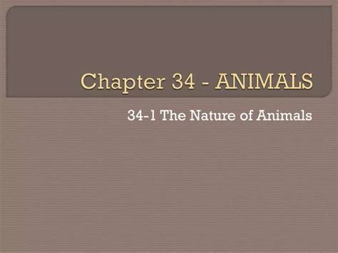 Pptx Chapter 34 Animals 34 2 Animal Bodies Body Structure