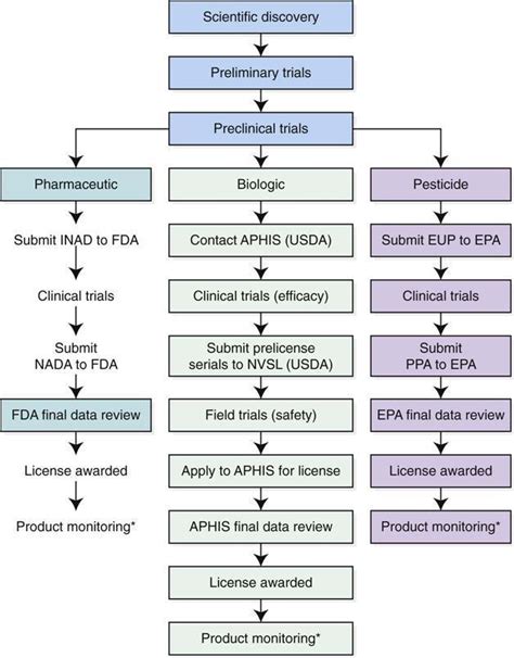 Practical Calculations Veterian Key