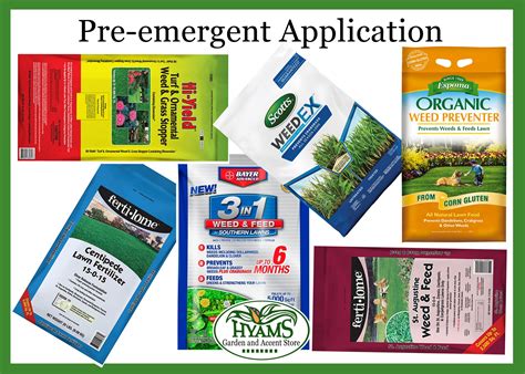 Pre Emergent Application To Keep Your Lawn Weed Free And The Grass Green Pre Emergent Application To Keep Your Lawn Weed Free And The Grass Green