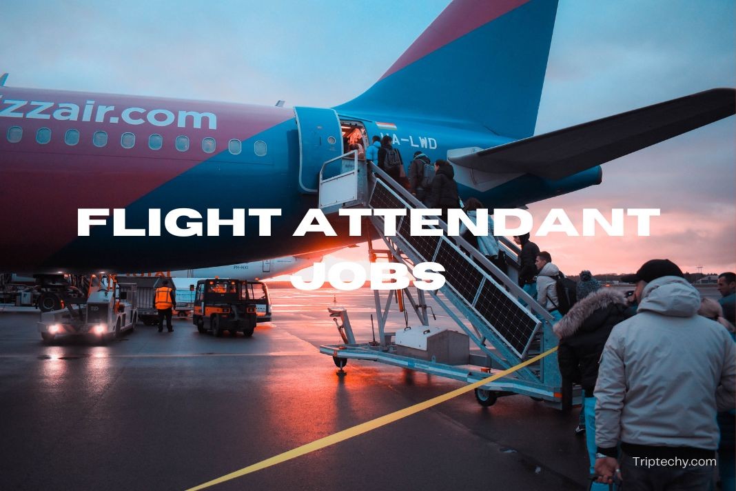 Private Flight Attendants Jobs Dulab Innovations