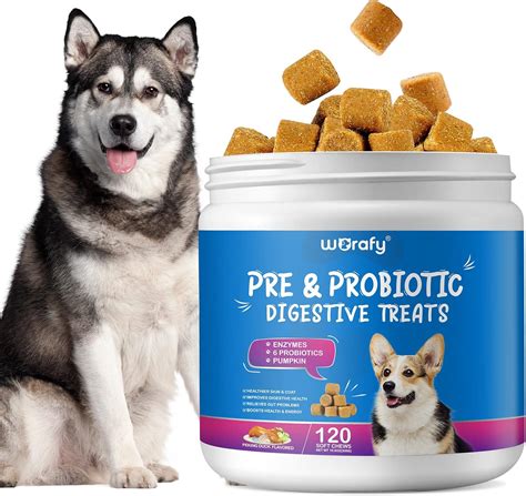 Probiotics For Dogs Probiotics For Dogs