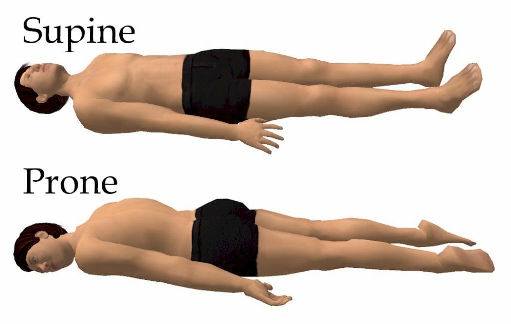 Prone Position Meaning Explained