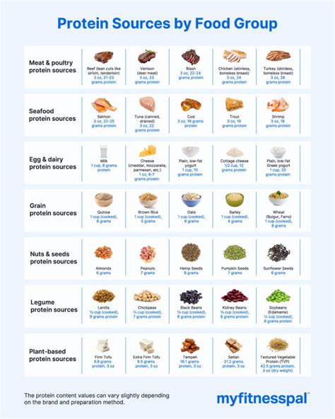 Protein Food Sources