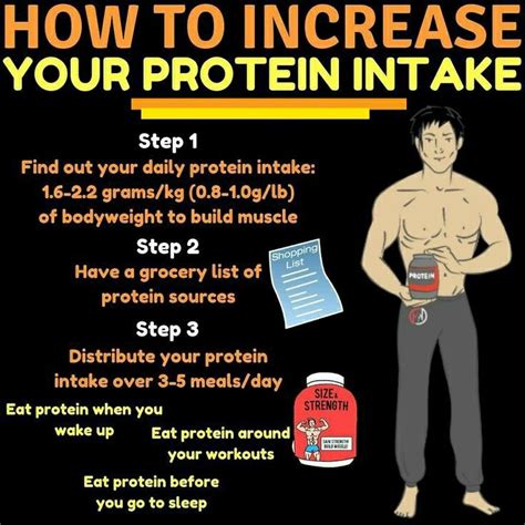 Protein Increase Muscle Mass