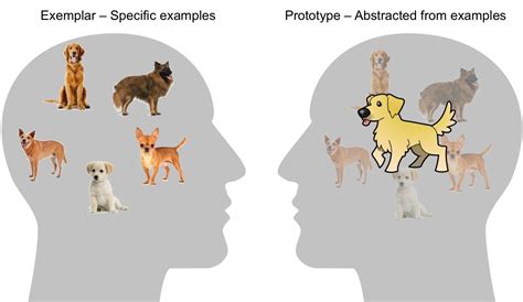 Prototype Psychology Definition