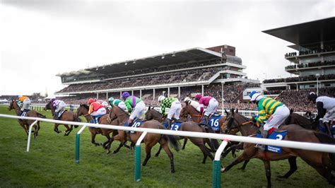 Provisional Declarations Now Available To Public Before 48 Hour Final Declaration Stage Racing Post