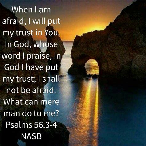 Psalm 56 3 4 Psalms Psalms Verses Psalm 56 3