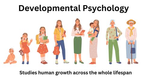 Psychological Development Developmental Psychology Psychology