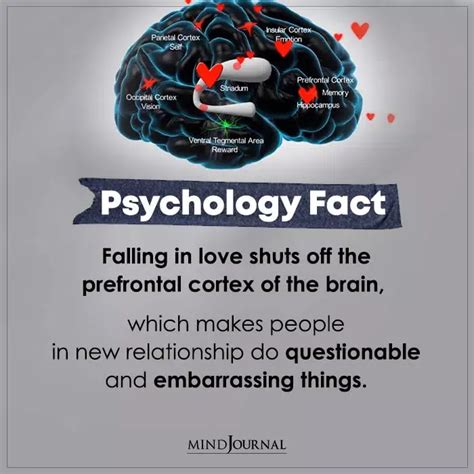 Psychology Facts About Love Artofit Psychology Facts About Love Artofit