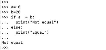 Python Not Equal Operator Detailed Tutorial In 2023 Naiveskill