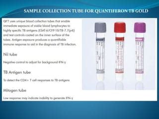 Quantiferon Tb Gold Plus Blood Collection Guideline, 48% Off