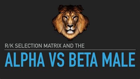 R K Selection Matrix And The Alpha Vs Beta Male Restoring Our