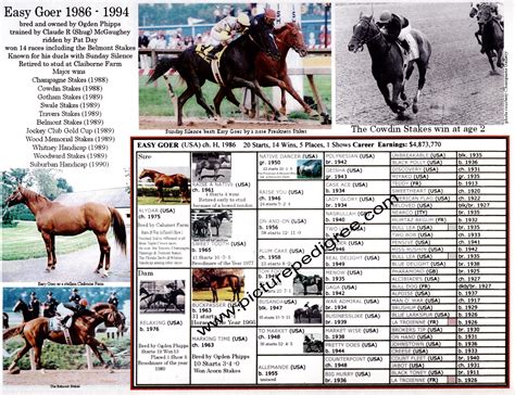 Race Horse Legend Easy Goer Belmont Stakes Jockey Pat Day Picture Pedigree 11X8 5 Racing History Collectible Claiborne Belmont Stakes Race Horse Legend Easy Goer Belmont Stakes Jockey Pat Day Picture Pedigree 11X8 5 Racing History Collectible Claiborne Belmont Stakes