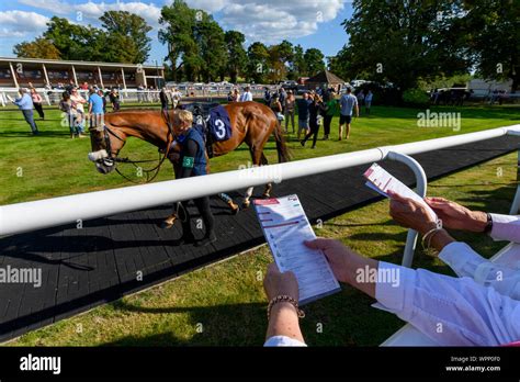 Racecard Hi Res Stock Photography And Images Alamy