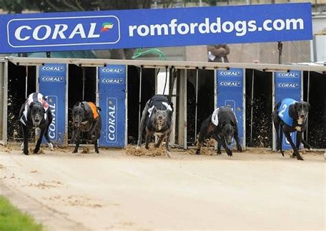 Racing Post Greyhound Tv Tips Friday 3Rd October