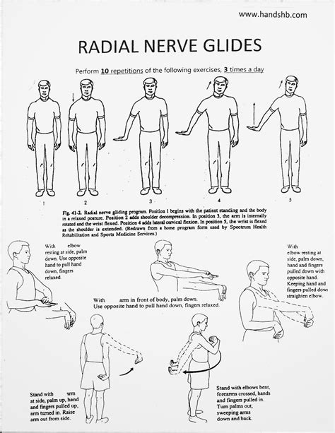 Radial Nerve Glides