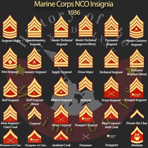 Ranks In The Marine Corp