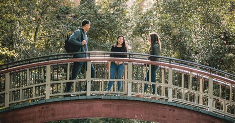 Raymond A Mason School Of Business In The Top 10 Undergrad Business