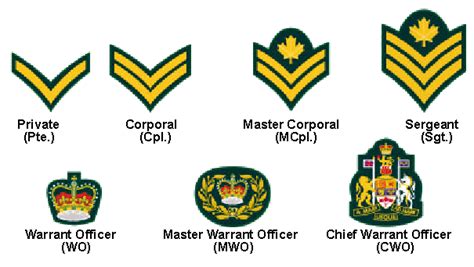 Rcacc 117 Preston Westphal Rcacc And Cdn Armed Forces Officer Ranks Rcacc 117 Preston Westphal Rcacc And Cdn Armed Forces Officer Ranks