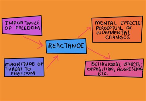 Reactance Theory The Decision Lab Reactance Theory The Decision Lab