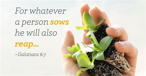 Reap What You Sow Scripture