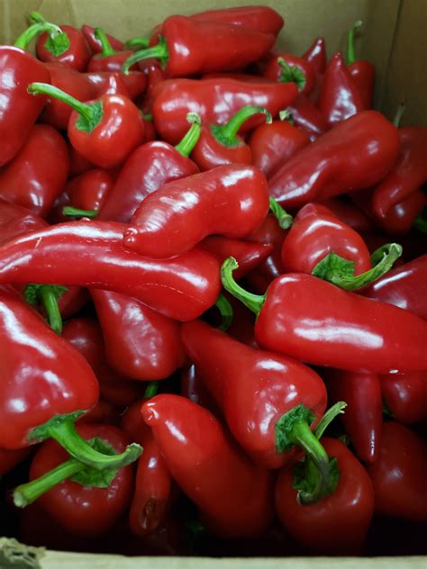 Red Fresno Peppers Pahl Amp 39 S Market Apple Valley Mn