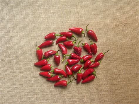 Red Fresno Stock Image Image Of Food Chile Ingredient 191961607