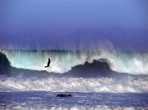 Redding Ca Amp Quot Anne Troyer Amp Quot Photographed Places To Go Natural Redding Ca Amp Quot Anne Troyer Amp Quot Photographed Places To Go Natural