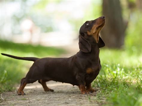 Redding News Amp Calendar Of Events July 31 August 9 2025 Weston Ct Patch Redding News Amp Calendar Of Events July 31 August 9 2025 Weston Ct Patch