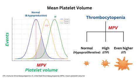 Reference Range Of Mean Platelet Volume Semantic Scholar Reference Range Of Mean Platelet Volume Semantic Scholar