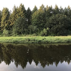 Reflection Off Lacamas Creek