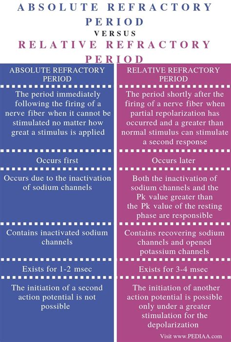 Relative And Absolute Refractory Period