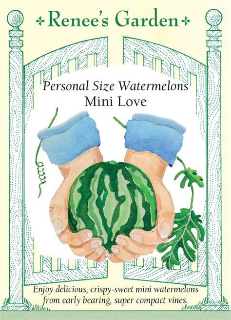 Renee S Garden Personal Size Watermelons Mini Love Seeds Renee S Garden Personal Size Watermelons Mini Love Seeds