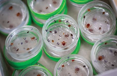 Research Early Research Often And Reap The Benefits Grow Magazine