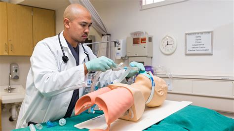 Respiratory Therapist School Options
