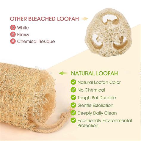 Reviving Tradition The Sustainable Beauty Of Natural Sponges And Loofahs