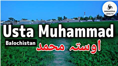 Rice Oil Buy In Usta Muhammad