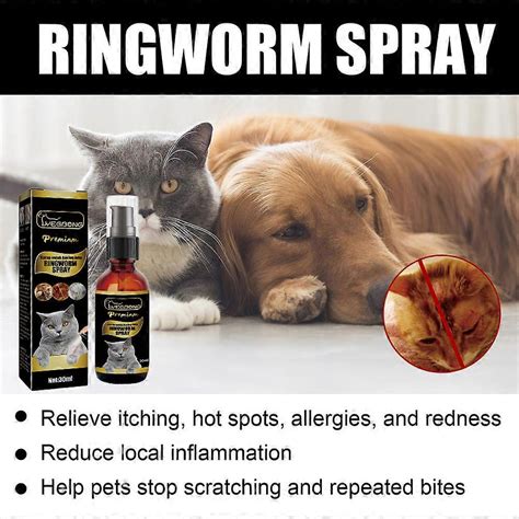 Ringworm Medication For Cats