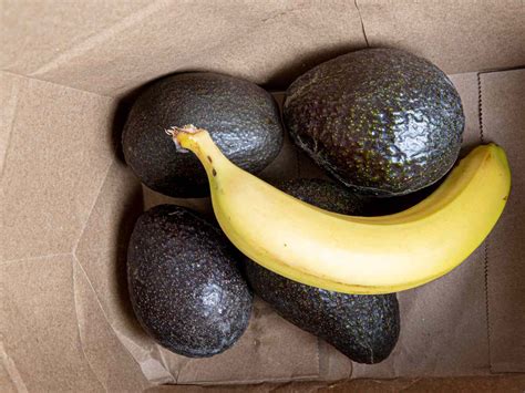 Ripe Avocados Hacks For Long Term Use Avoseedo